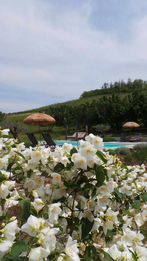 Sotto La Vigna Charm Stay Adults Only Vacation Suite 몬테그로소 다스티 외부 사진